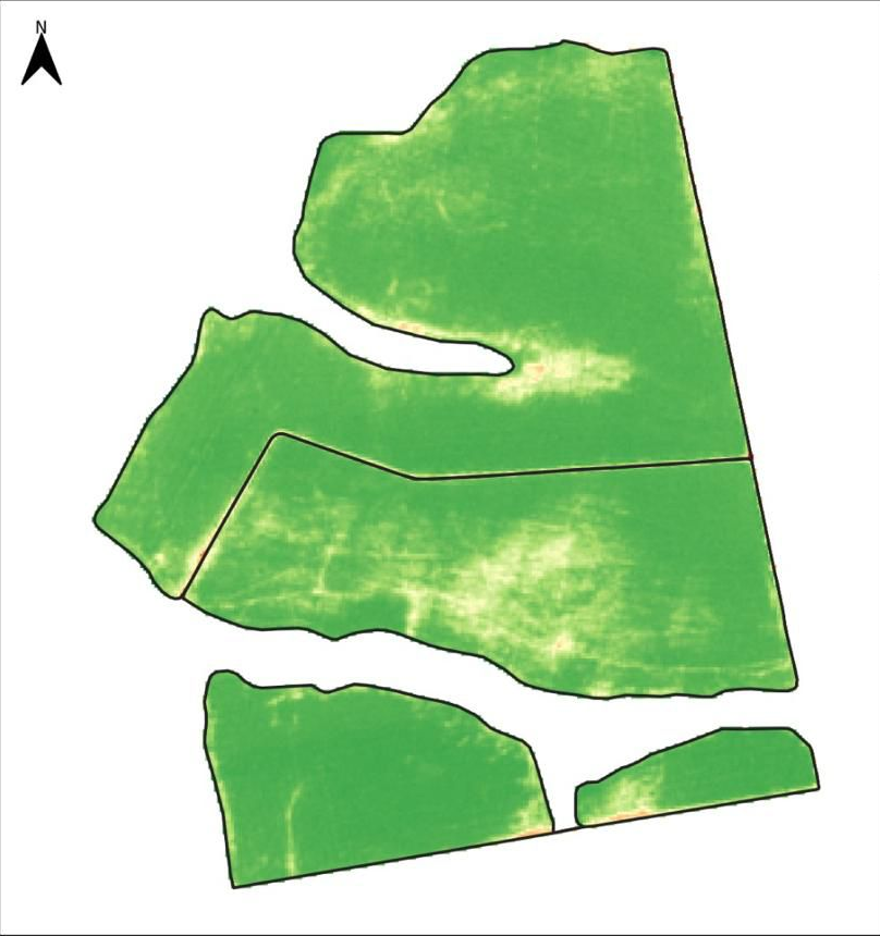 Recorte ilustrativo de um mapa de índice de vegetação (NDVI).
