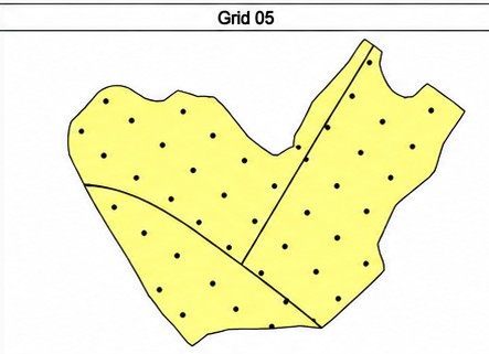 Um grid amostral com pontos distribuídos sobre o contorno de uma área.